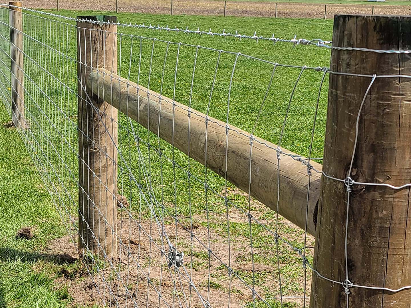 Sturdy woven wire h-brace fencing in Bloomington Indiana