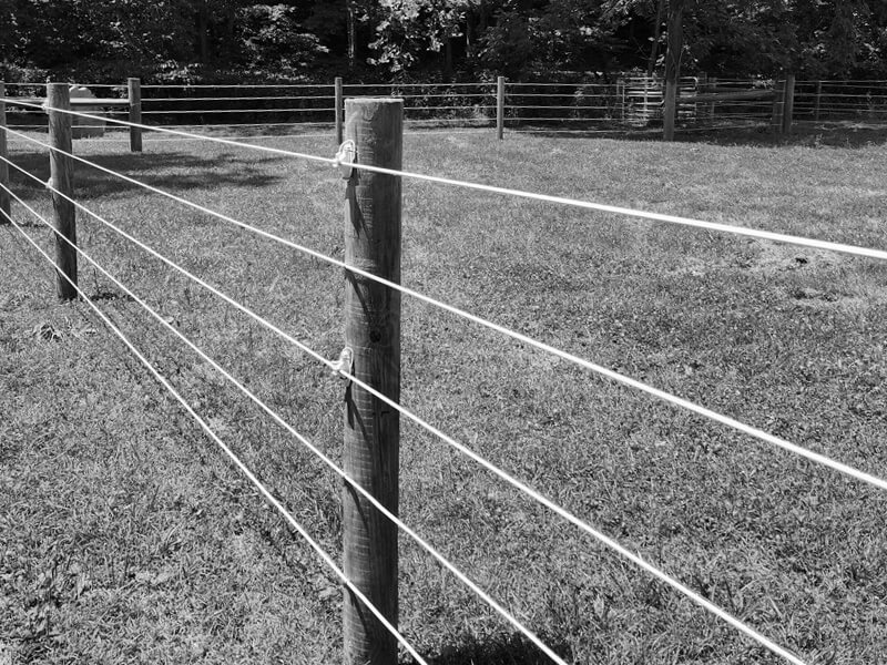 Central and Southern Indiana electric fence.