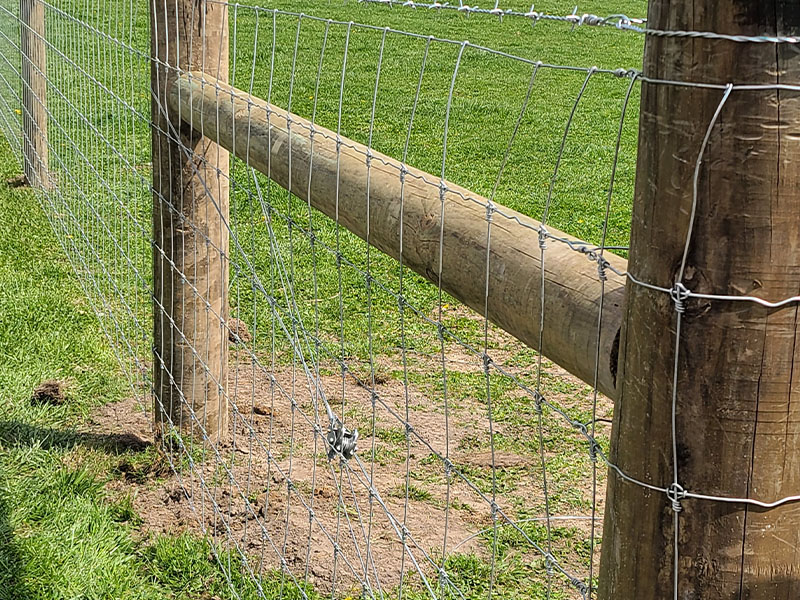 Bloomington Indiana Woven Wire Farm Fence Company