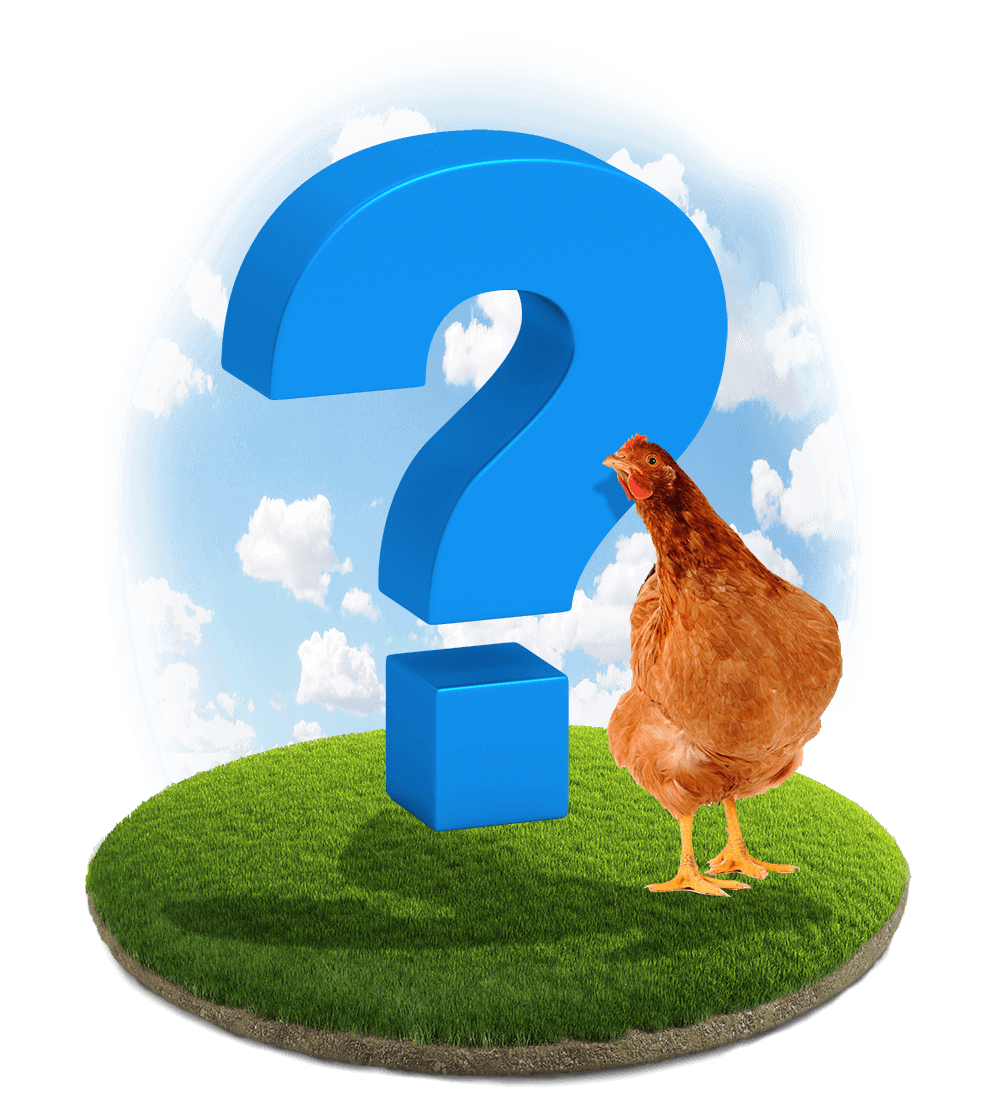Fence FAQs in Worthington Indiana